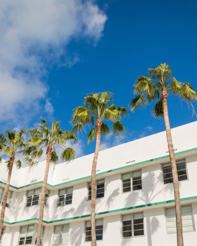green-palm-trees-growing-near-modern-building-agai-2024-11-11-15-17-33-utc-min